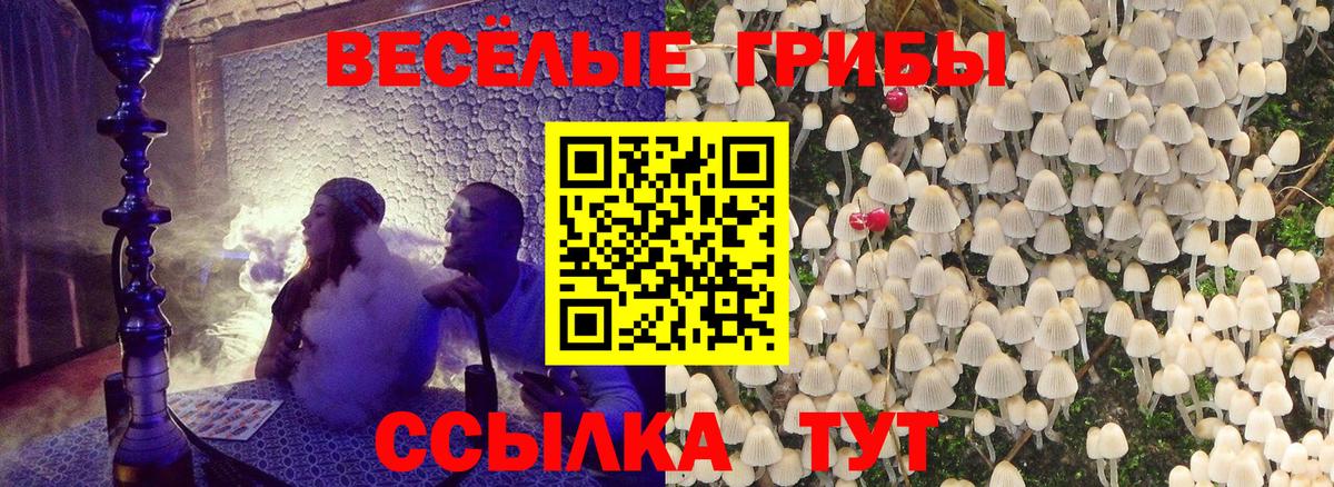 Галлюциногенные грибы MAGIC MUSHROOMS  где продают наркотики  Вход с VPN  Выкса  Псилоцибиновые грибы мицелий 