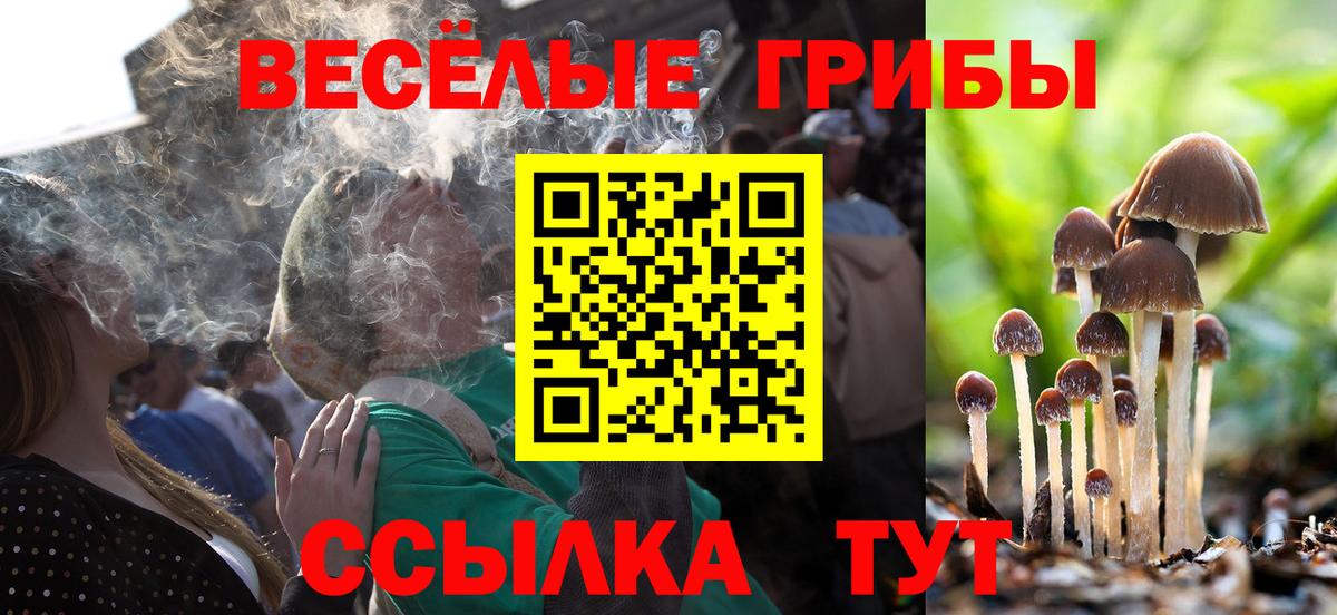 Галлюциногенные грибы прущие грибы Выкса